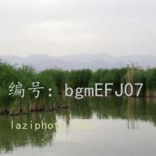 ȫ